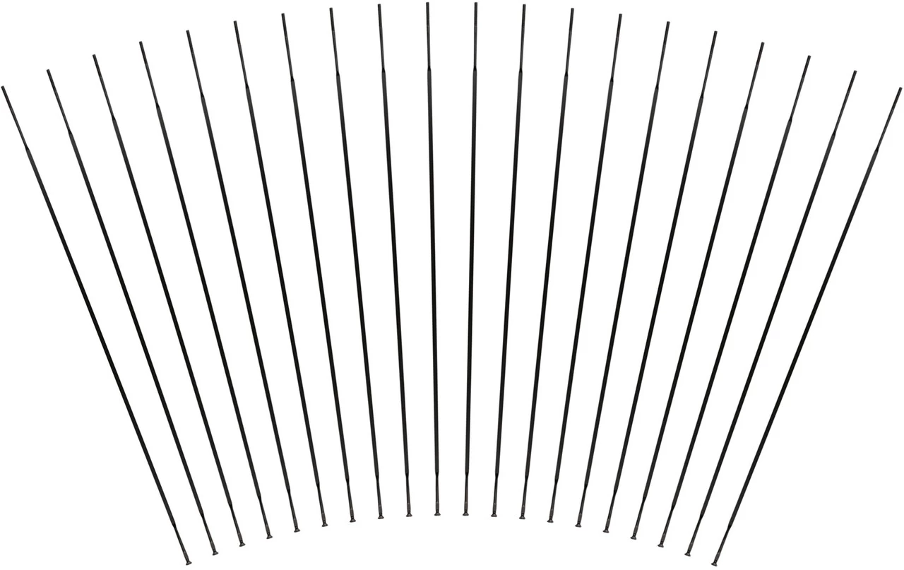 Mavic Crossride Tubeless / XA Elite 29" Ersatzspeichen Ab Modell 2016