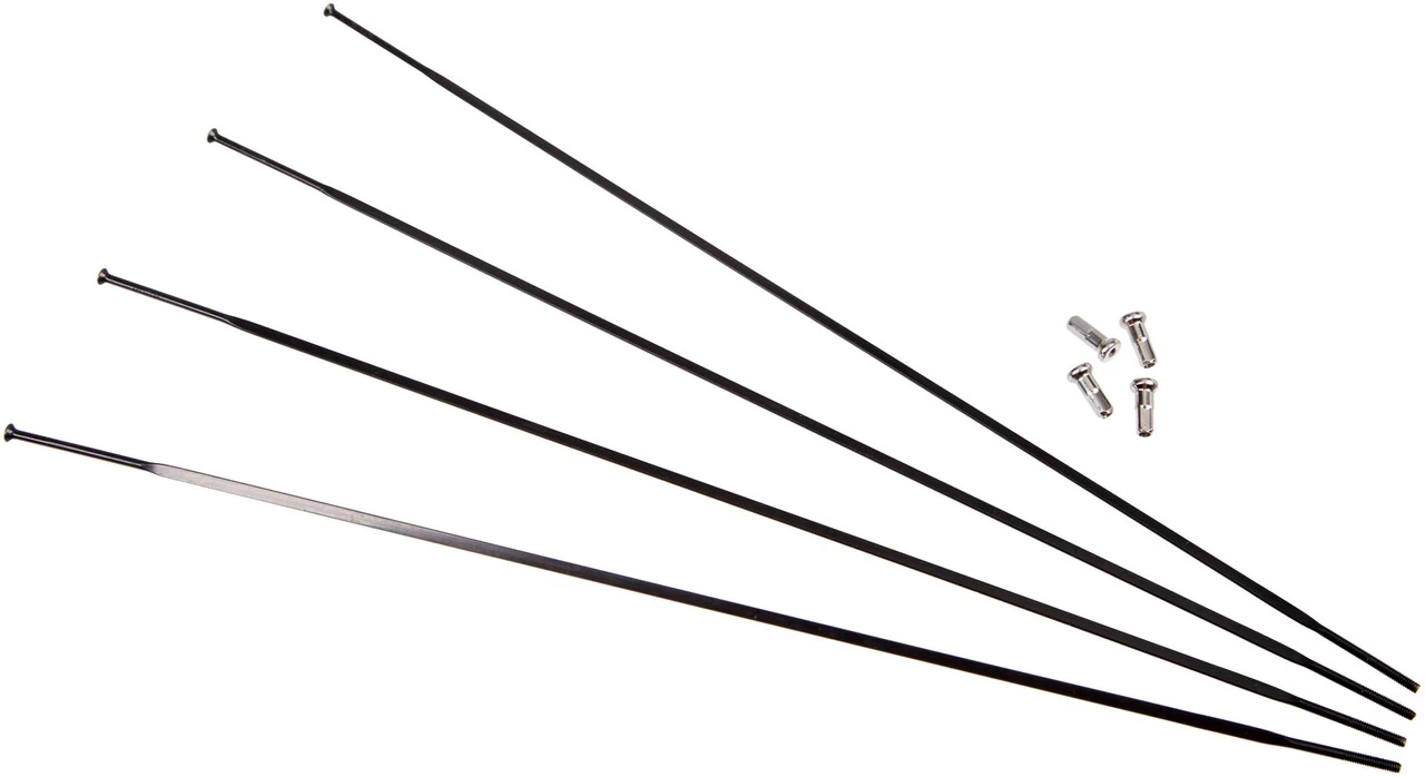 Campagnolo® Zonda Ersatzspeichen Modell 2013-2016