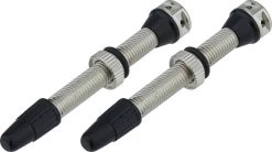 FiveWay Tubelessventil - 2 Stück